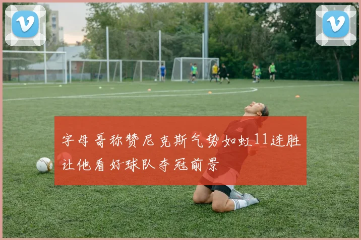 字母哥称赞尼克斯气势如虹11连胜让他看好球队夺冠前景