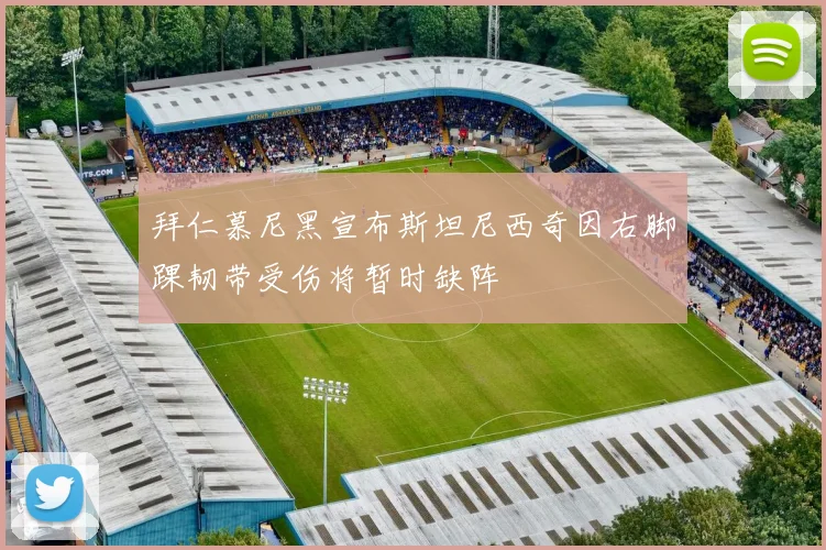 拜仁慕尼黑宣布斯坦尼西奇因右脚踝韧带受伤将暂时缺阵